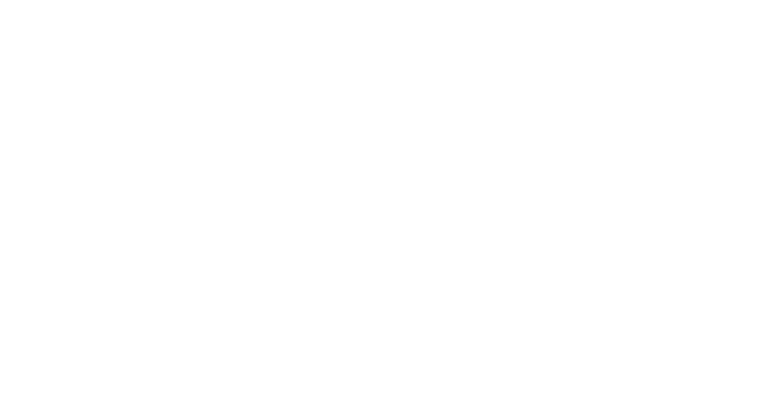 University-of-North-Carolina-Wilmington_logo-min